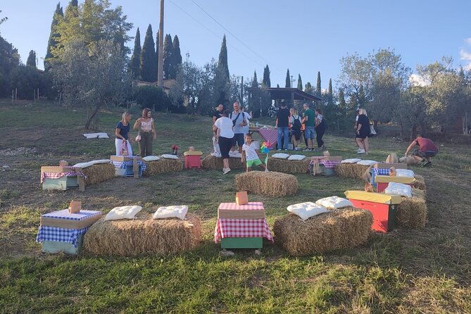 discovering-bees-in-volterra