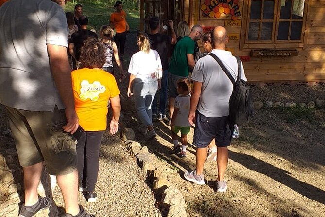 discovering-bees-in-volterra