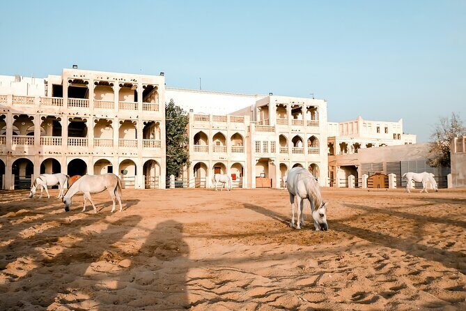 Discovering Doha Qatar | Guided City Tour | Half Day - FAQs