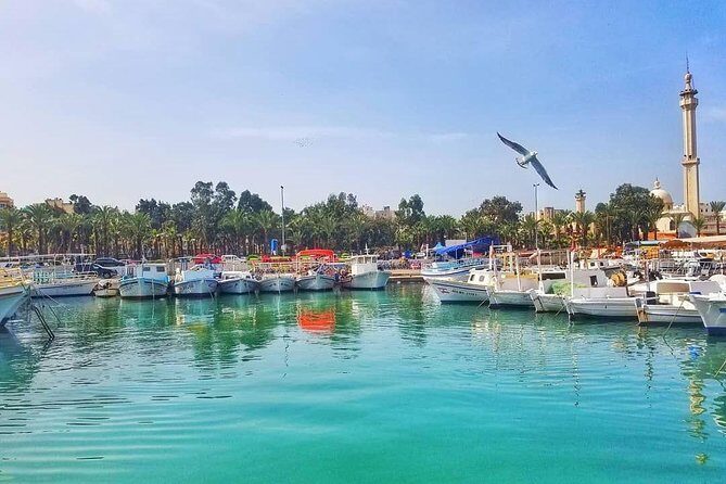 Discovering Lebanon's Charms: A Private Tour to Tripoli & Batroun - Key Points