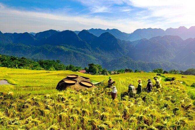 Discovering Mai Chau Private Tour from Hanoi - Authentic Experiences and Real Traveler Insights