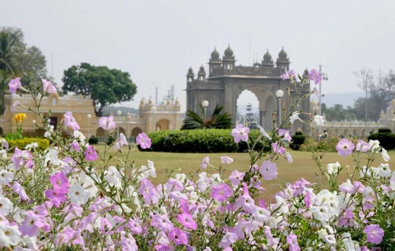 Discovering Mysore's Natural Wonders: Guided Half Day Tour - Exploring Mysore’s Natural Gems: A Detailed Review