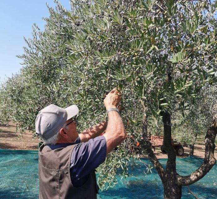 discovering-nature-and-flavors-of-pantalica