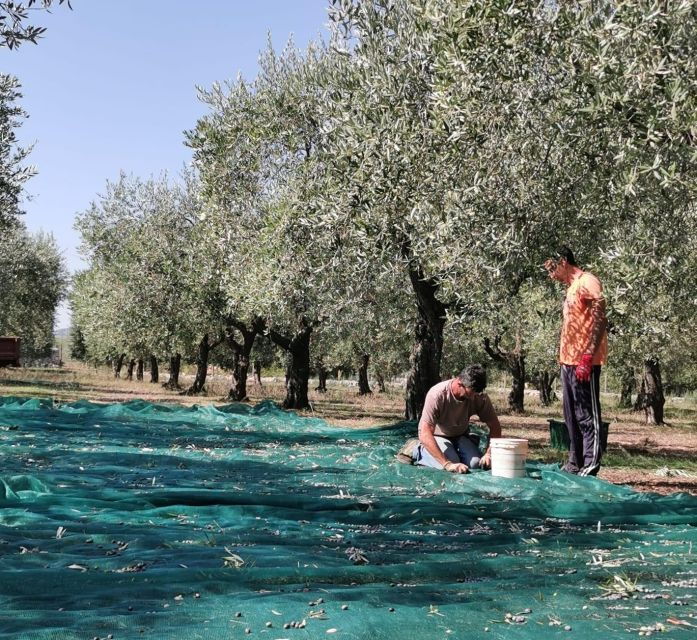 discovering-nature-and-flavors-of-pantalica