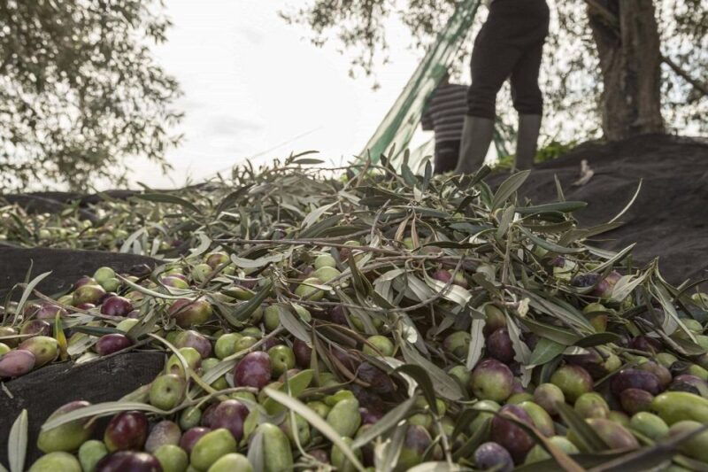 discovering-nature-and-flavors-of-pantalica
