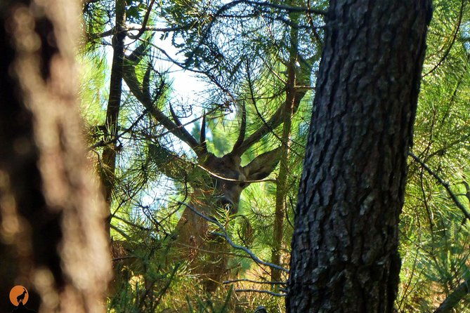 discovering-nature-in-serra-da-lousa
