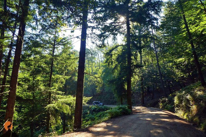 discovering-nature-in-serra-da-lousa