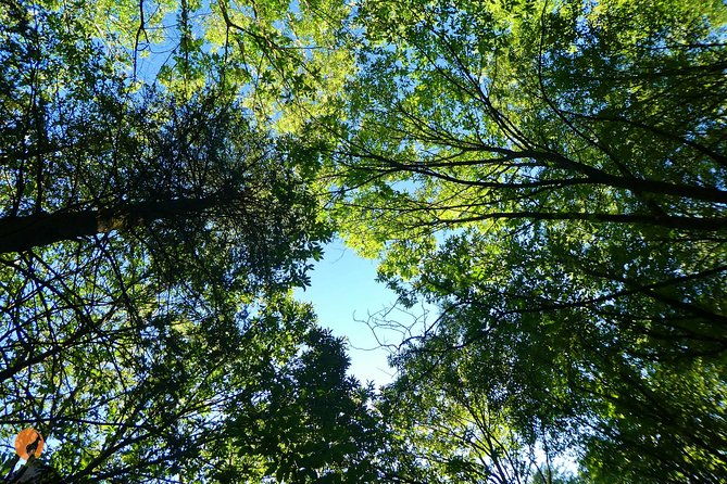 discovering-nature-in-serra-da-lousa