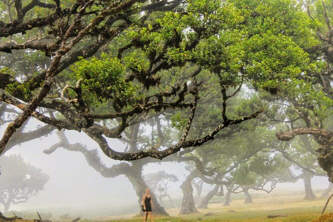 discovering-northwest-madiera-shore-excursion-w-harbour-pickup