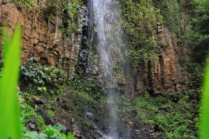 discovering-northwest-madiera-shore-excursion-w-harbour-pickup