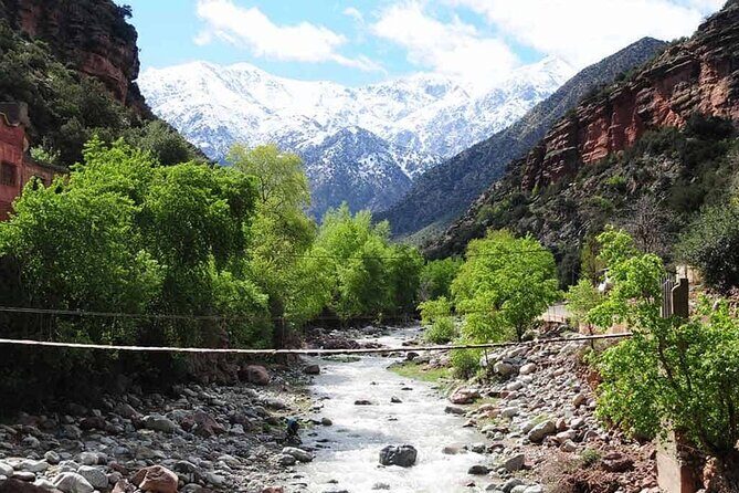Discovering Ourika Valley and Atlas Mountains with a Local Guide - Practical Tips for Travelers