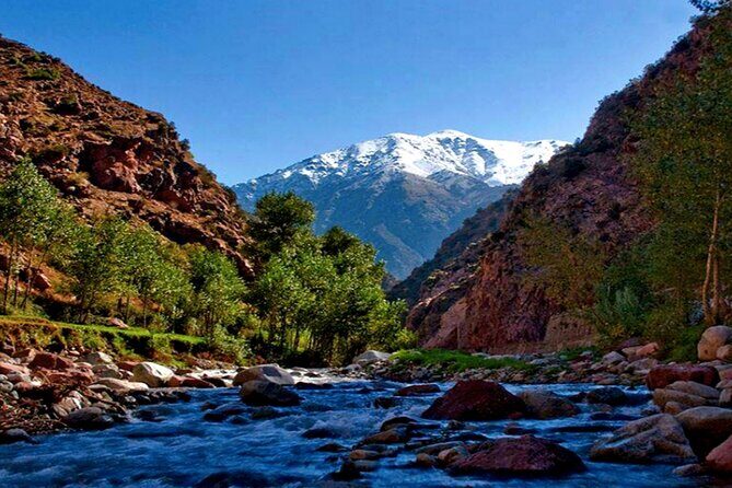 Discovering Ourika Valley and Atlas Mountains with a Local Guide - The Sum Up