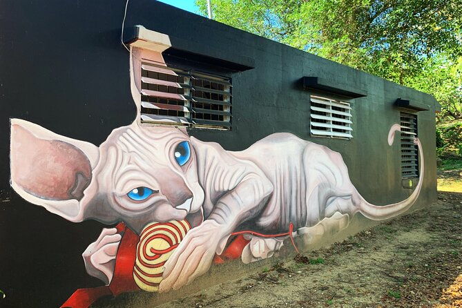 discovering-puerto-rico-lifestyle-art-and-cultural-tour