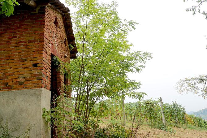 discovering-roero-and-its-wines