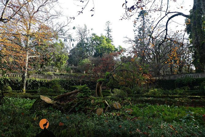 discovering-the-charms-and-places-of-coimbra