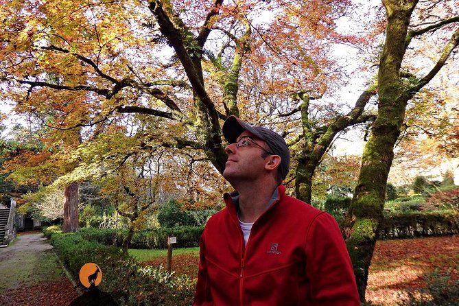 discovering-the-charms-and-places-of-coimbra