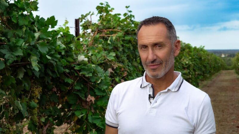 discovering-the-mystery-grape-varieties