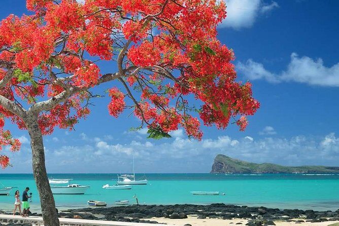 Discovering the North of Mauritius: Full-day incl Botanical garden & lunch - A Practical Look at the Full-day Mauritius North Tour