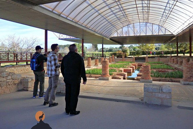 discovering-the-roman-ruins-of-conimbriga-and-the-caves-of-sico