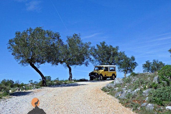 discovering-the-roman-ruins-of-conimbriga-and-the-caves-of-sico