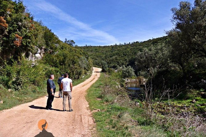 discovering-the-roman-ruins-of-conimbriga-and-the-caves-of-sico