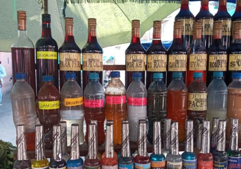 discovering-the-secrets-of-the-amazon-guided-tour-of-belen