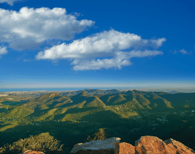 discovering-valencia-horchata-paella-vistas-private-tour