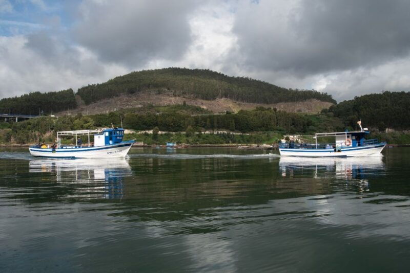 discovering-vigo-ria-and-mussels-in-the-traditional-boat