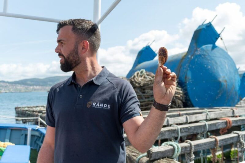 discovering-vigo-ria-and-mussels-in-the-traditional-boat