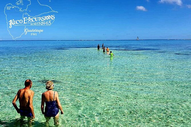 discovery-by-boat-of-the-mangrove-and-its-lagoon-in-7-stages-including-4-swimming