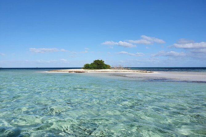 discovery-by-boat-of-the-mangrove-and-its-lagoon-in-7-stages-including-4-swimming