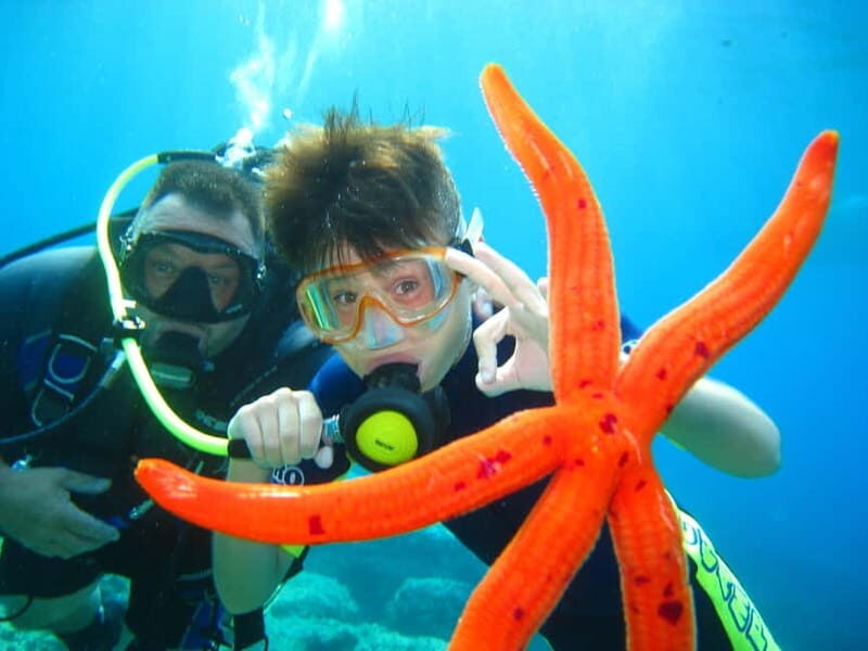 Discovery Dive - 2 hour Uncertified Diver Introductory Dive - Key Points