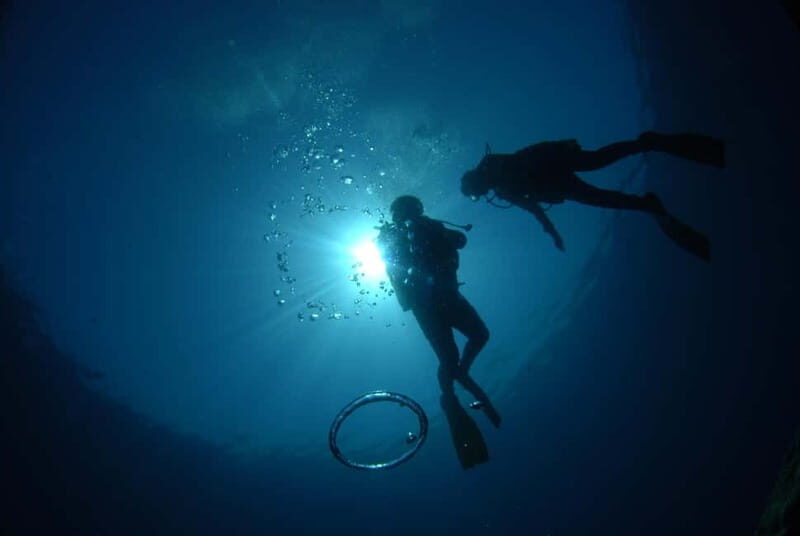 Discovery Dive - 2 hour Uncertified Diver Introductory Dive - The Value of the Experience