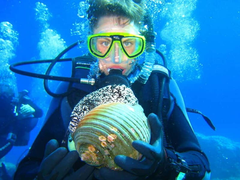 Discovery Dive - 2 hour Uncertified Diver Introductory Dive - Practical Tips for Future Divers