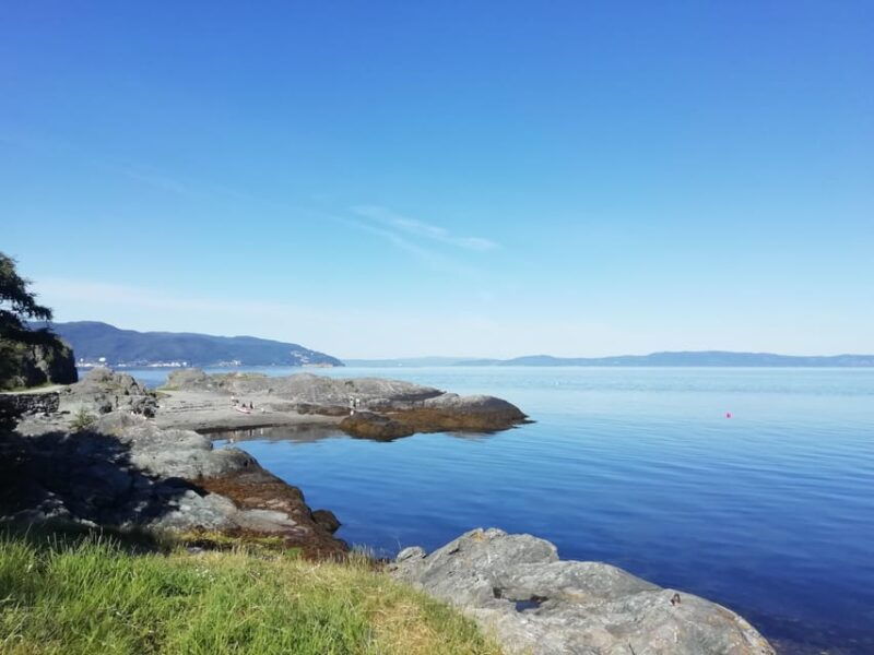 discovery-hike-along-the-trondheimsfjord