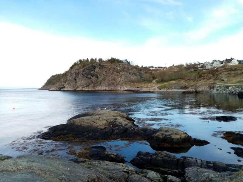 discovery-hike-along-the-trondheimsfjord