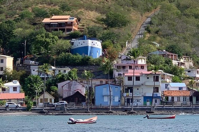 discovery-of-dolphins-on-the-caribbean-coast