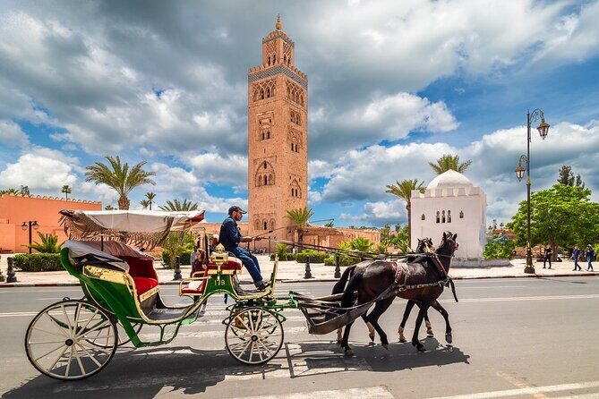 Discovery of Marrakech with Camel Ride from Casablanca - Practical Considerations and Value