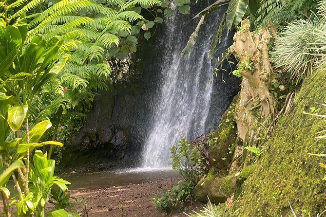 Discovery of Tahiti Nui Island - Who Is This Tour Perfect For?