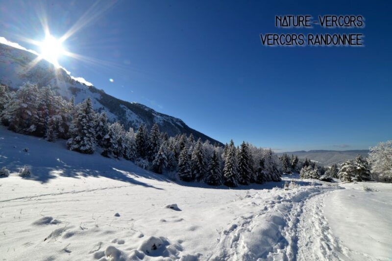 discovery-of-the-snowy-vercors-in-snowshoes
