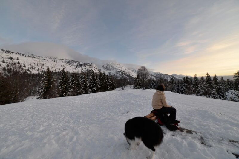 discovery-of-the-snowy-vercors-in-snowshoes