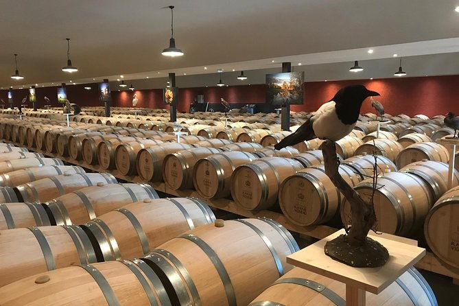 discovery-of-the-vineyards-and-castles-of-sauternes-by-bike