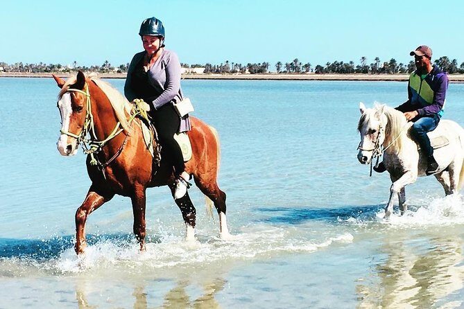 Discovery ride on horseback or camel 2h30 - Key Points
