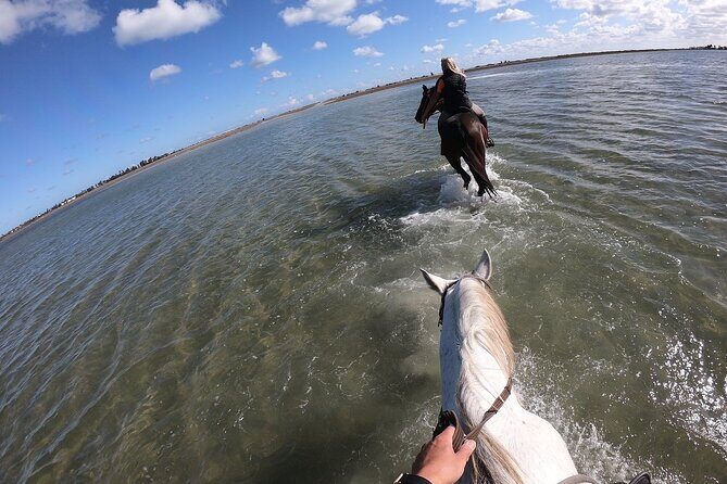 Discovery ride on horseback or camel 2h30 - Final Thoughts: Is This Tour Worth It?