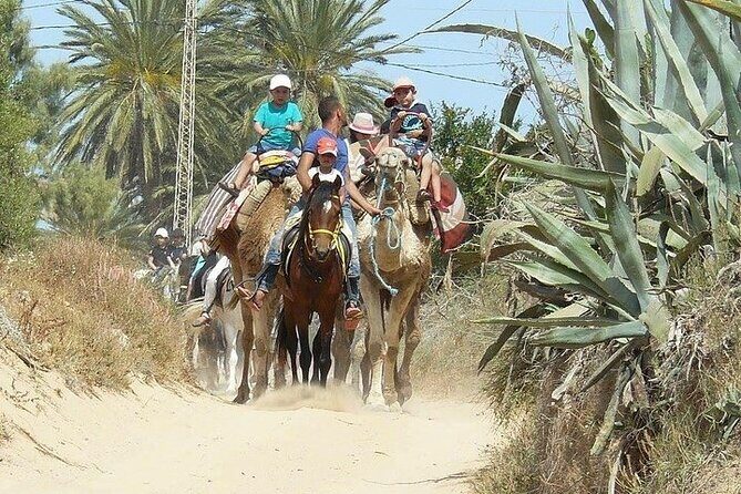 Discovery ride on horseback or camel 2h30 - Who Should Book This Experience?