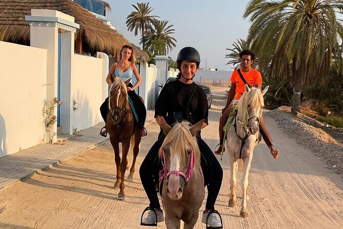 Discovery ride on horseback or camel 2h30 - Final Words