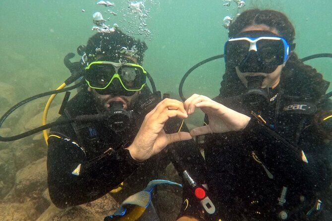 Discovery Scuba Diving in Dubai - Discovery Scuba Diving in Dubai: A Genuine Look at an Introductory Underwater Adventure