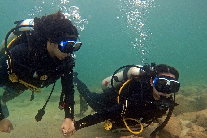 Discovery Scuba Diving in Dubai - What’s on Offer: An Authentic, Well-Structured Intro to Underwater Exploration