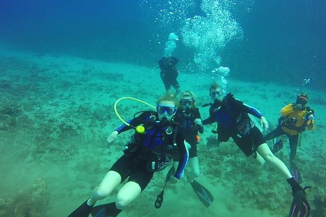 discovery-scuba-in-waikiki-under-water-adventures