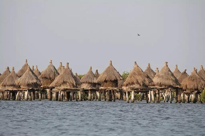 Discovery Senegal 8 Days 7 Nights - Why This Tour Offers Real Value and Rich Experiences